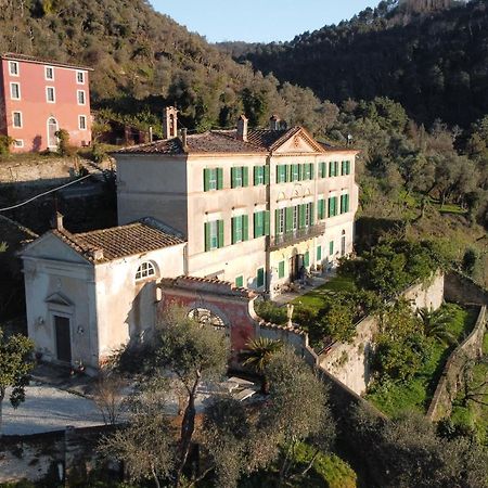 Agriturismo Villa Cavallini Camaiore Kültér fotó