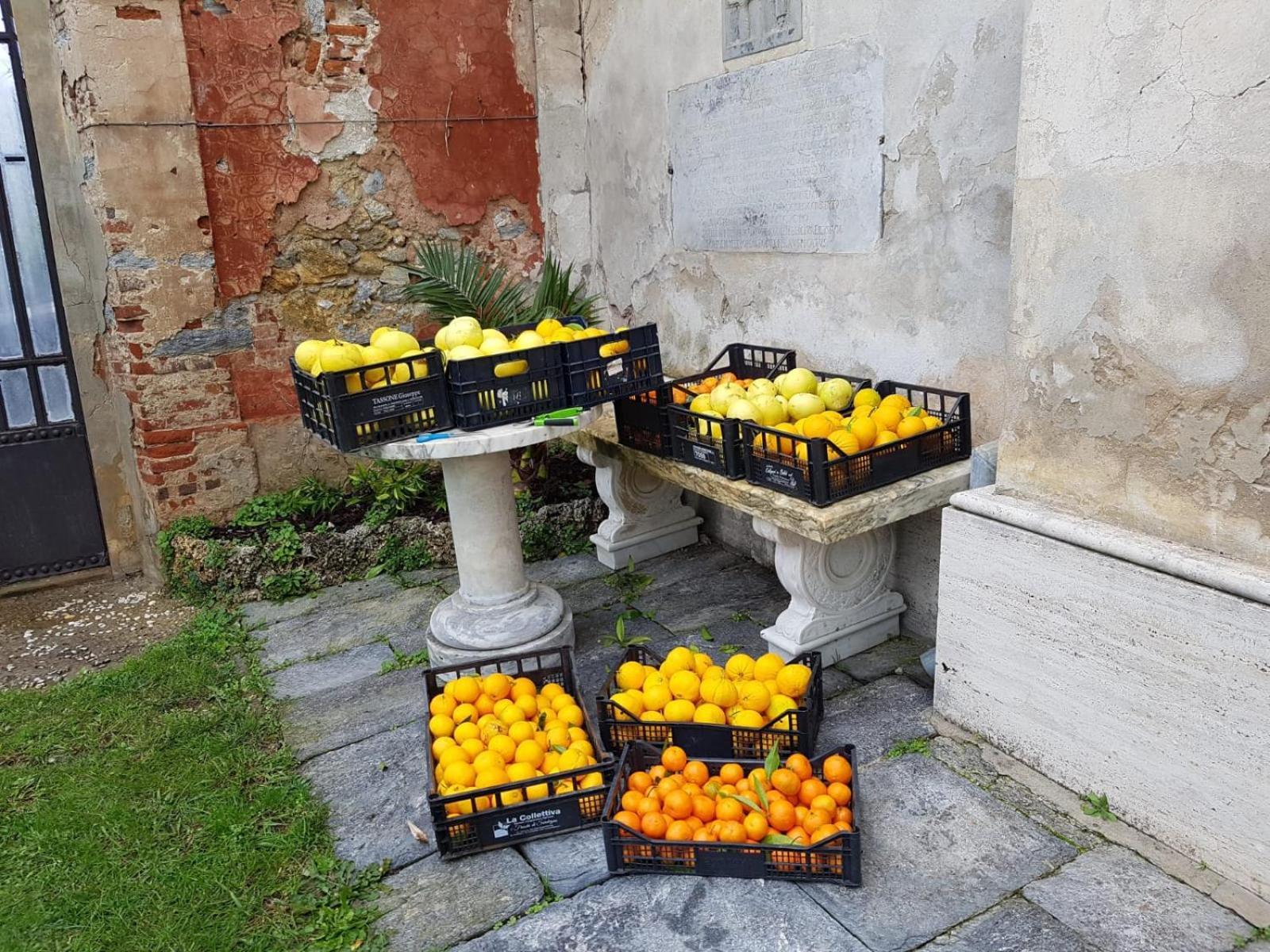 Agriturismo Villa Cavallini Camaiore Kültér fotó