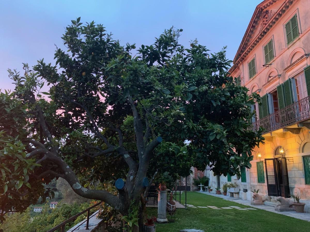 Agriturismo Villa Cavallini Camaiore Kültér fotó