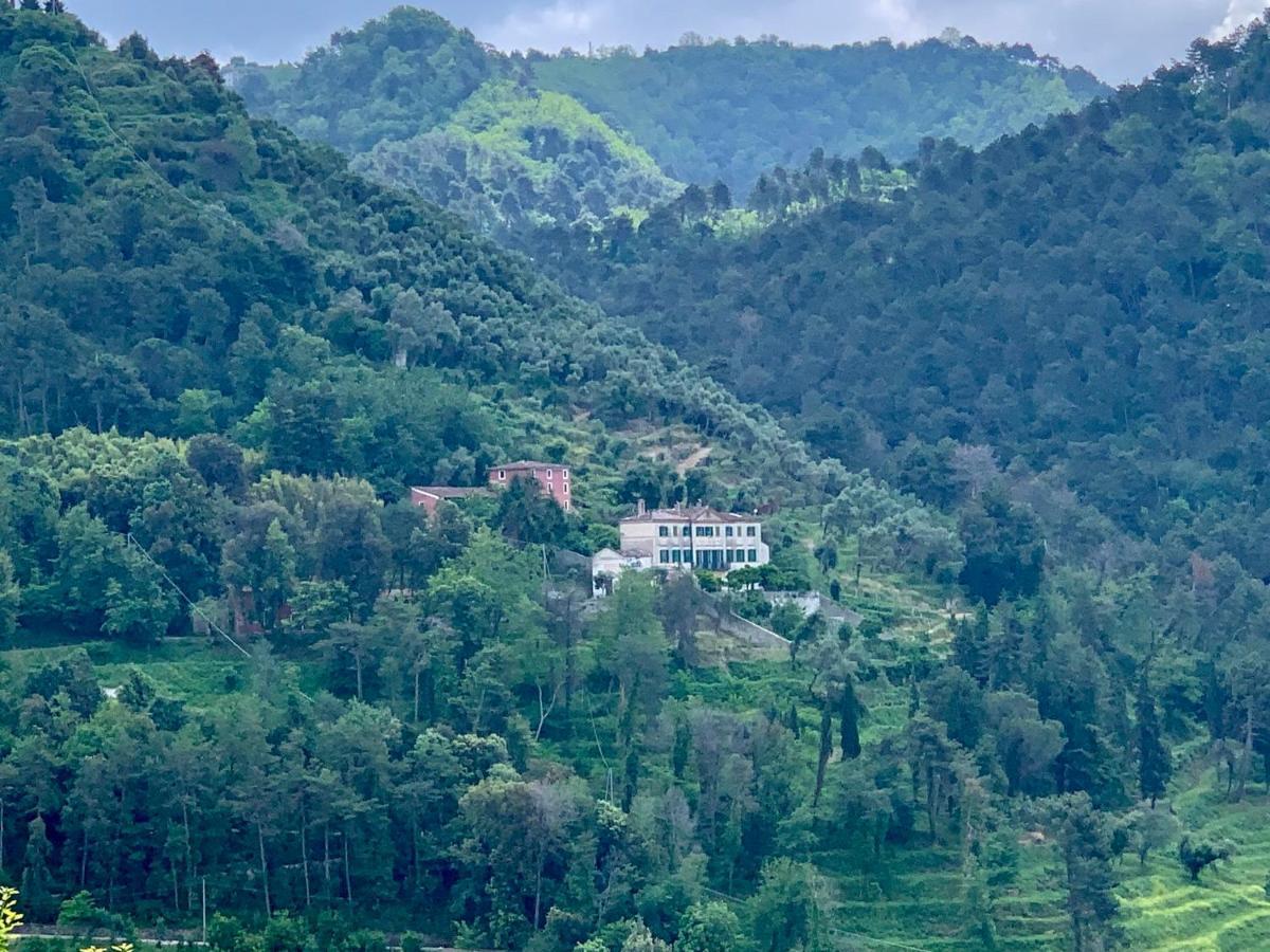 Agriturismo Villa Cavallini Camaiore Kültér fotó