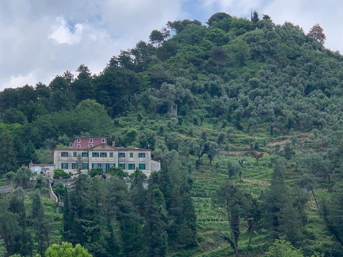 Agriturismo Villa Cavallini Camaiore Kültér fotó